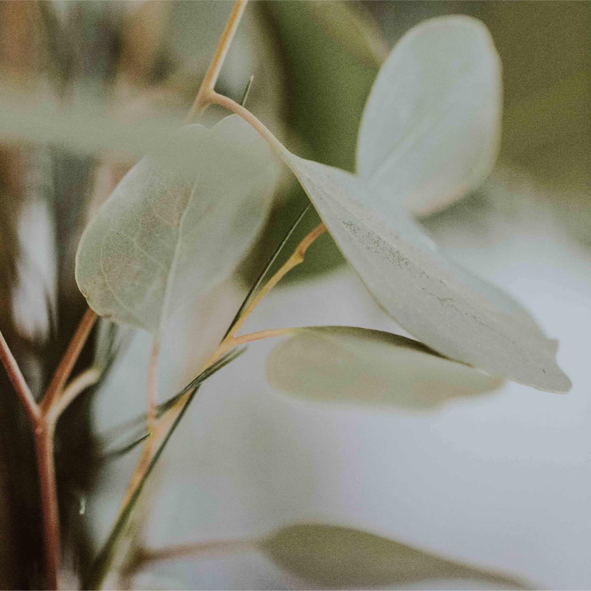 Sustainability - doing what we do better