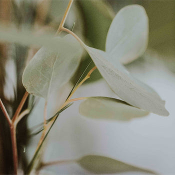 Sustainability - doing what we do better