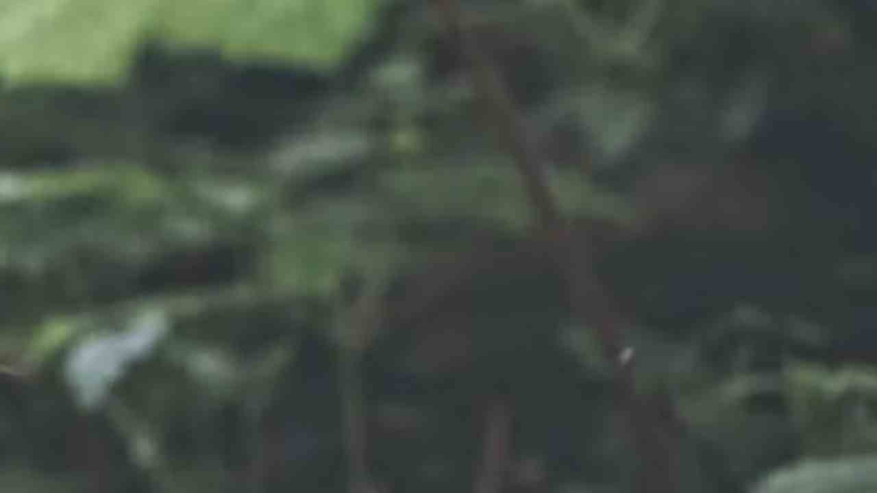 OUR PRODUCTS ARE MENOPAUSE-FRIENDLY