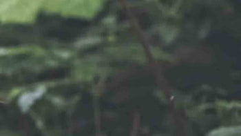 OUR PRODUCTS ARE MENOPAUSE-FRIENDLY