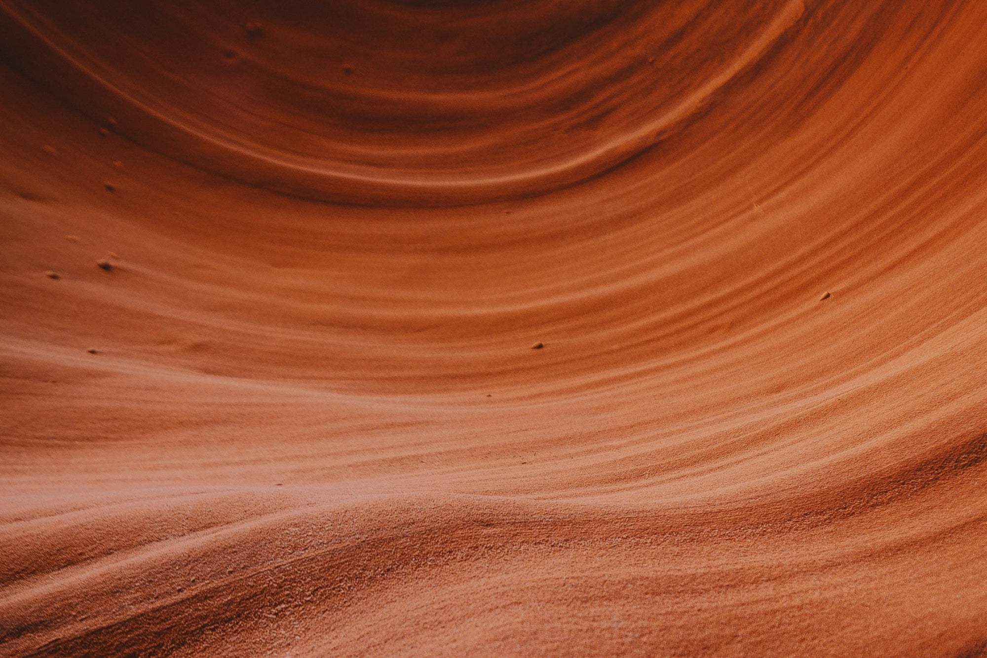 What's In Our Essential Eye Vitamins