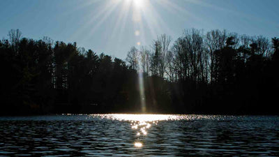 Protect From UV Light