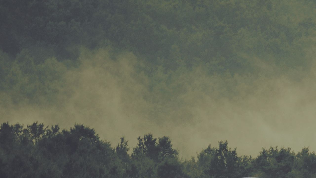 We Plant a Tree with every order