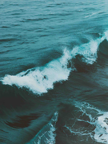 Liz Earle Wellbeing + MTHK