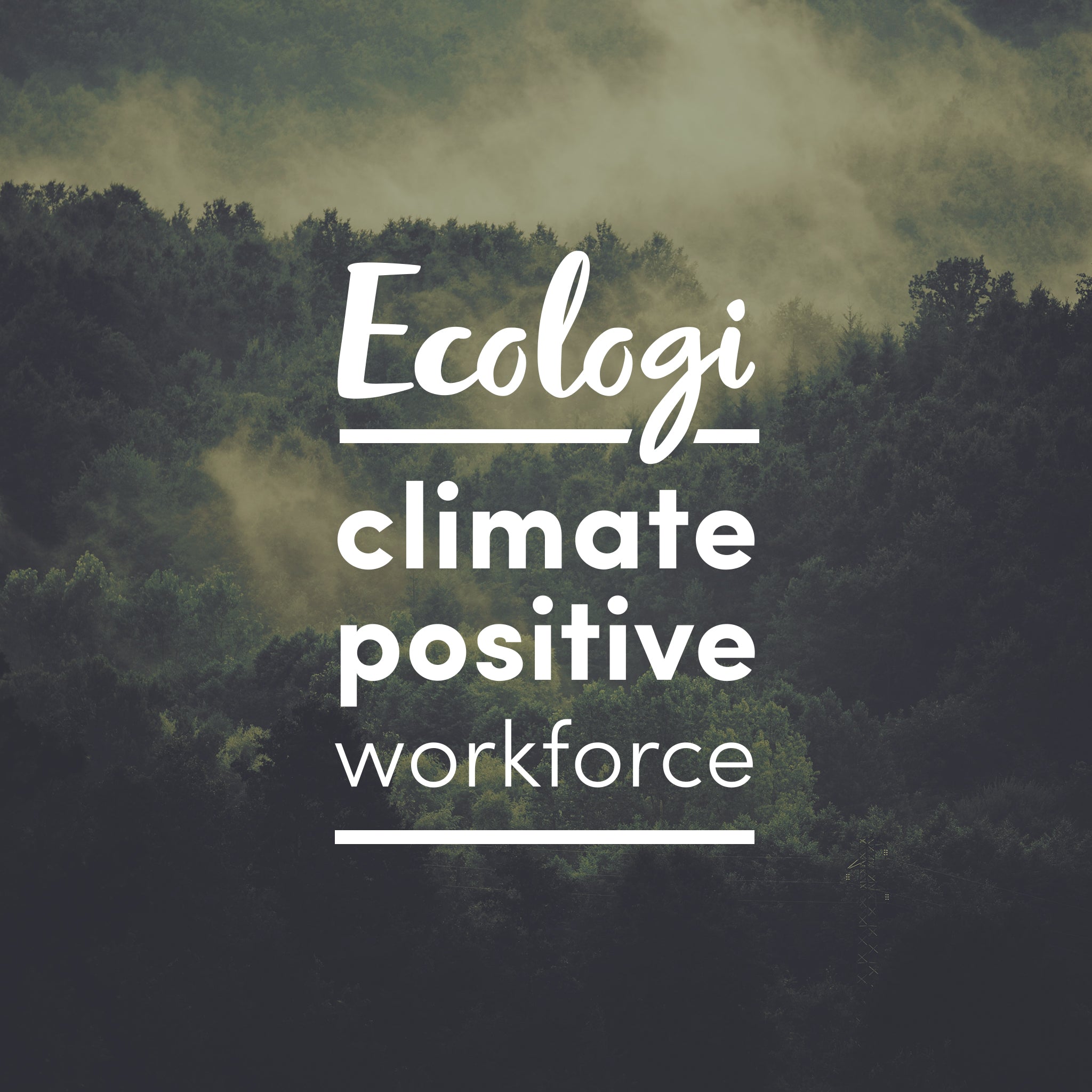 1637149279-climate-positive-workforce-badge-forest1.jpg